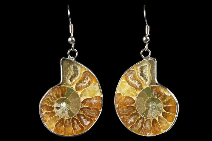 Fossil Ammonite Earrings - Million Years Old #152019